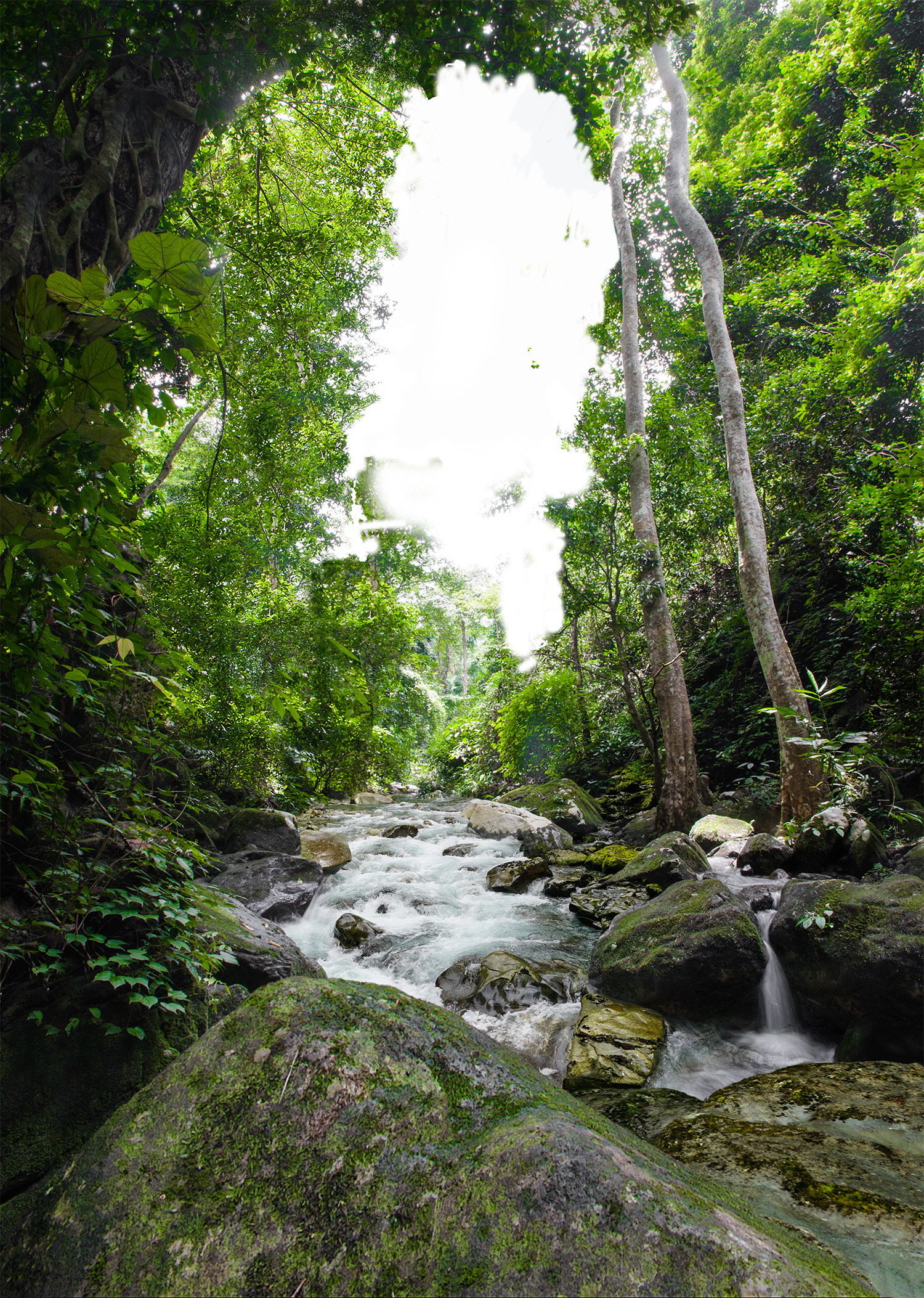Waterfall in autumn forest at Krok - E -Dok waterfall at Khao Yai National Park,Thailand.Waterfall in autumn forest at Krok - E -Dok waterfall at Khao Yai National Park,Thailand.