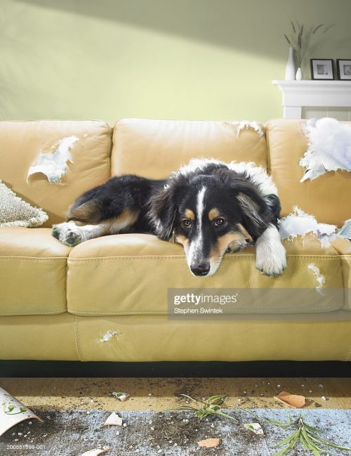 gettyimages-200551599-001-1024x1024